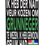 Houten Tekstbord Ik heb der nait veur kozen